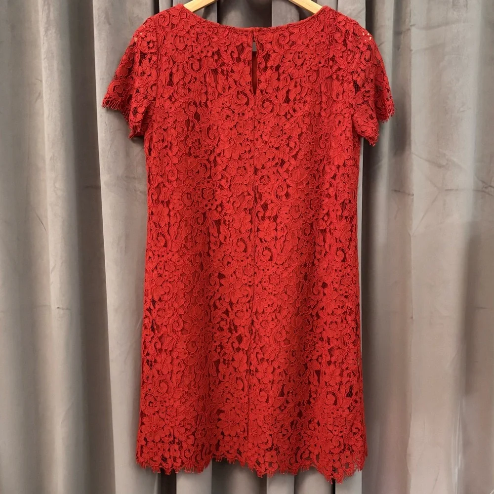 Stunning Zara Crochet Lace Short Sleeve Sheath Dress | Medium - Picture 2 of 12